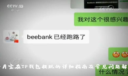 登月宝在TP钱包提现的详细指南及常见问题解答