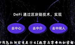 TP钱包私钥究竟是什么？数字与字母的