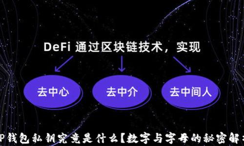 
TP钱包私钥究竟是什么？数字与字母的秘密解析