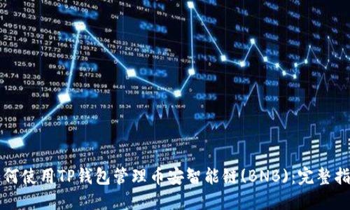 如何使用TP钱包管理币安智能链(BNB)：完整指南